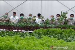 Kementan siapkan pola pertanian modern melalui "smart green house"