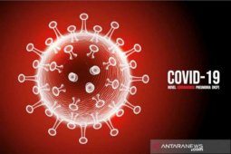 South Kalimantan's COVID-19 adds 49 cases
