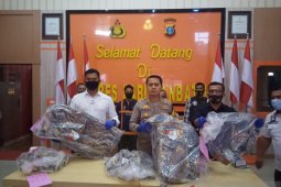 Polres Labuhanbatu gagalkan perdagangan Harimau Sumatera