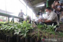 Pemprov Babel belajar pengembangan porang ke Jawa Timur
