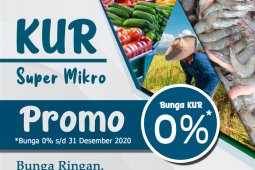 Bank Kalsel kucurkan KUR Super Mikro bunga 0 persen