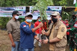 Tanam ribuan pohon, ini pesan Bupati Aceh Tengah untuk cegah banjir