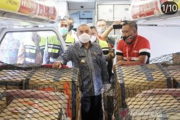 Pemprov Kaltim datangkan APD  untuk COVID-19 senilai Rp9,5 miliar