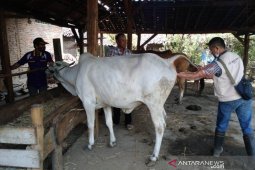 DBHCHT Jatim Rp1,75 triliun untuk optimalkan layanan kesehatan dan kesejahteraan masyarakat