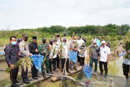 Dinas Perikanan Tanah Bumbu panen perdana program percontohan minapadi