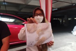 Tembak kucing dengan senapan angin, pelaku dilaporkan ke polisi