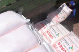 Petani diimbau waspadai pupuk palsu gunakan kemasan Petrokimia Gresik