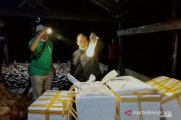 Polisi Tanjabar gagalkan penyelundupan benih lobster senilai Rp19,9 miliar