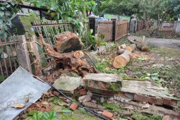 Hujan lebat dan angin "ribut" membuat gaduh warga masyarakat