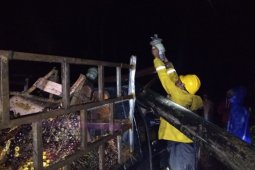 Tiang listrik timpa mobil pengangkut sawit di Aceh Jaya