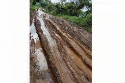 Jalan Semangut-Kelibang rusak berat kades minta pemkab perbaiki