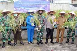 Wali Kota Sabang apresiasi inovasi padi hidroponik Lanal Sabang