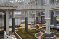 Bogor Botanical Garden's Orchid Park renovated for preservation