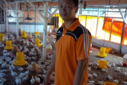 Karantina Pertanian Ternate perketat pengawasan jelang Natal - Tahun Baru