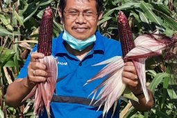 Kadis Pertanian Kota Denpasar I Gede Ambara Putra berpulang