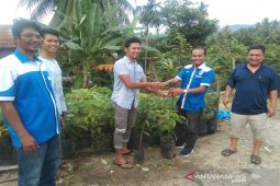 KNPI Tapsel serahkan 1000 bibit buah-buahan untuk masyarakat Tolang