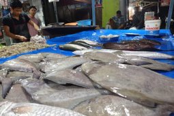 Ombak laut tinggi, persediaan ikan minim di Aceh Tamiang