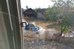Rumah penduduk dan anakan padi di Kabupaten Banjar Kalsel terendam