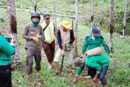 PHD dan FKH kolaborasi tanam pohon di kebun raya Balangan