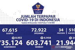 Indonesia adds 8,002 COVID-19 cases, tally touches 735,124