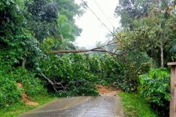 Transportasi lumpuh akibat longsor dan banjir di Aceh Timur