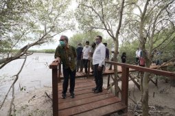 KKP:  Gresik kini miliki selasar jelajah mangrove 1,5 kilometer