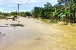 4.270 jiwa terdampak banjir di Aceh Timur, 475 mengungsi