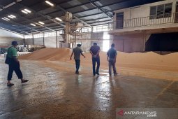 Satgas Pangan: Penimbun bahan pokok bakal didenda Rp50 miliar