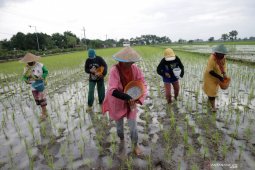 KTNA Jawa Barat minta pemerintah daerah segera terbitkan SK pupuk subsidi
