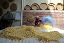Produksi olahan kedelai lokal