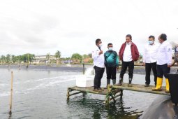 Menteri Kelautan resmikan pembangunan 13 klaster tambak udang di Karawang