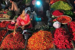 Harga cabai merah makin "pedas" dampak cuaca ekstrem