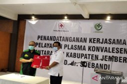 PMI Jember gandeng RSD dr. Soebandi sediakan plasma konvalesen