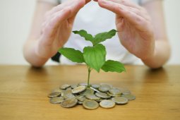 Ingin investasi atau berbisnis, jangan  takut memulai