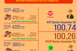 Kesejahteraan petani di Banten bulan Desember 2020 sedikit menurun