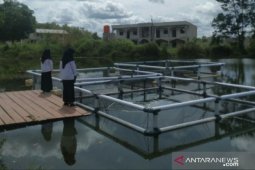 PT Timah gandeng Pesantren Ibnu Sabil Cambai budidayakan ikan di bekas tambang