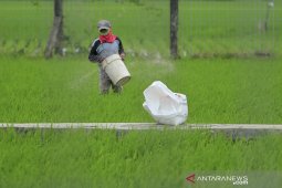 Kelangkaan pupuk subsidi