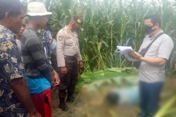 Seorang ibu ditemukan meninggal di ladang jagung