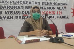 Dinkes: Kasus aktif COVID-19 di Maluku Utara 383 orang