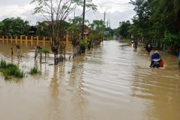 Hujan deras, banjir kembali meluas di Aceh Timur