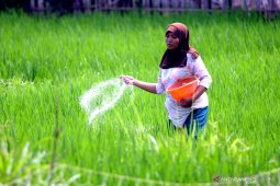 Pemerintah Tambah Pupuk Bersubsidi