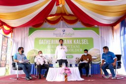 Bank Kalsel dukung pengembangan cabai hiyung