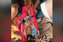 Unggahan hoaks foto bayi selamat dari kecelakaan Sriwijaya SJ 182 hebohkan warganet