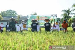 Program "Sigarpun bulat" Lumajang dorong ketersediaan pangan saat pandemi