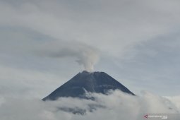 Merapi keluarkan 14 kali guguran lava pijar