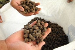 PLTU kian ramah lingkungan, listrik tercukupi dan udara terjaga bersih