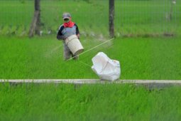 Dinas Pertanian Cirebon sebut kelangkaan pupuk akibat distribusi terkendala