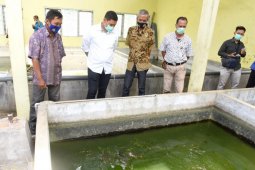 Pemkot Kediri dorong budi daya ikan diperluas