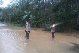 Banjir Tabalong meluas di sebelas kecamatan