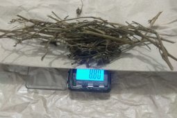 Simpan ganja di tempat sampah, polisi tangkap buruh tani
